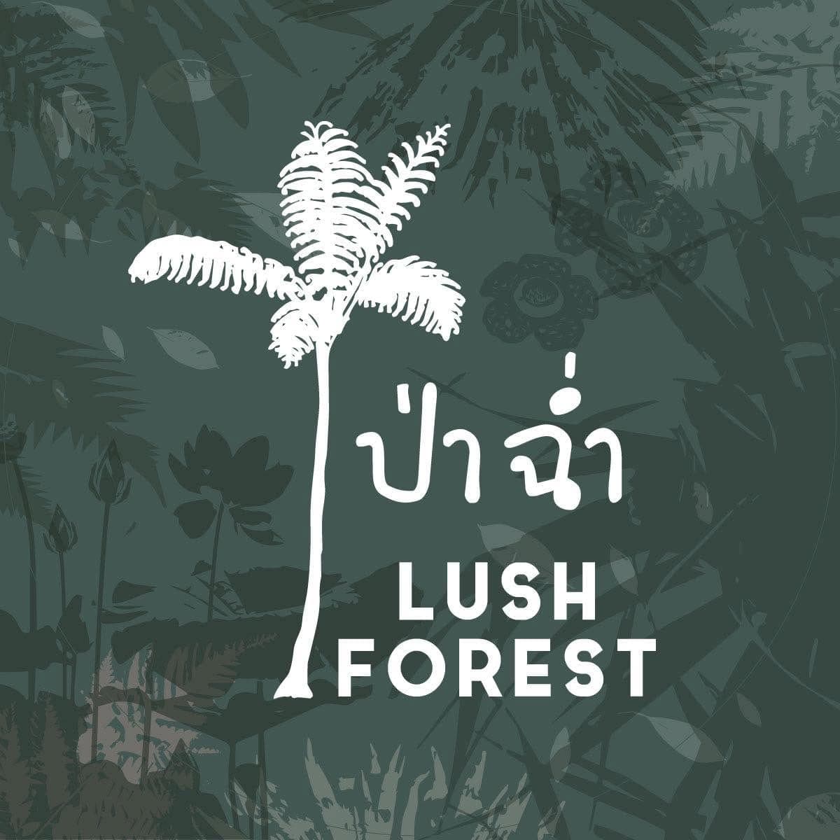 ป่าฉ่ำ Lush Forest
